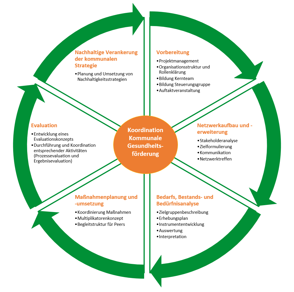 Die Grafik zeigt einen Kreislauf, der die einzelnen Aufgabenschritte bei der Koordination kommunaler Gesundheitsförderung abbildet.