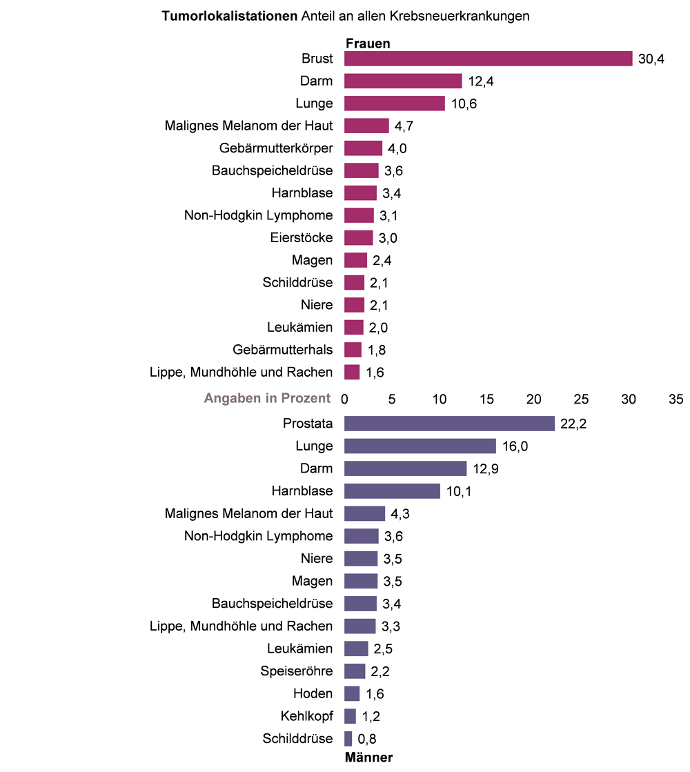 Balkendiagramm der prozentualen Anteile der wichtigsten Tumorlokalisationen an allen Krebsneuerkrankungen bei Frauen und Männern in NRW in 2015
