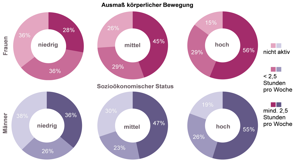 Ringdiagramme zum Ausmaß der körperlichen Aktivität bei Frauen und Männern mit unterschiedlichem Sozialstatus in NRW für das Jahr 2017