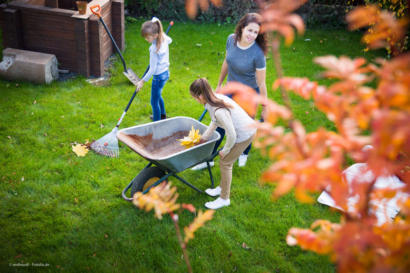 Alltagsbewegung: Haus- und Gartenarbeit