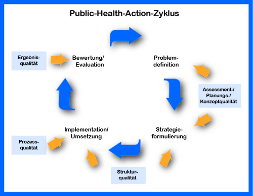 Kreisförmige Darstellung des Public-Health-Action-Zyklus.
