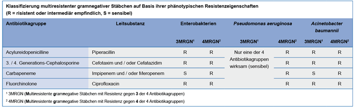 Klassifizierung multiresistenter gramnegativer Stäbchen